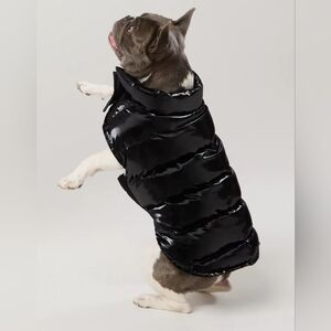 OFFLEASH By Aerie Puff Love Dog Vest Coat‎ Size M NWT